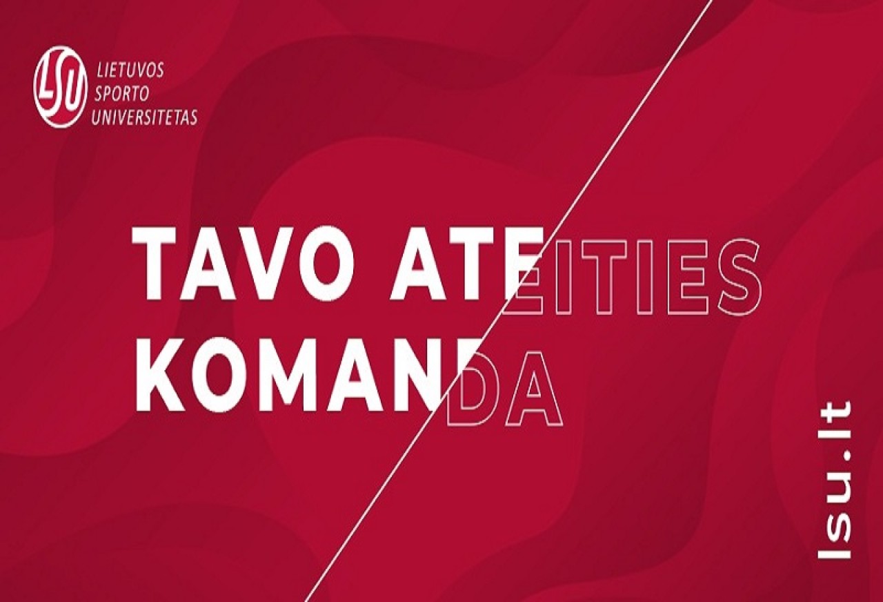 TRENIRAVIMO SISTEMŲ STUDIJŲ PROGRAMA